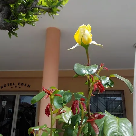 Eden Hotel 3*