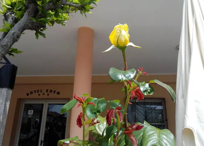 Eden Hotel 3*